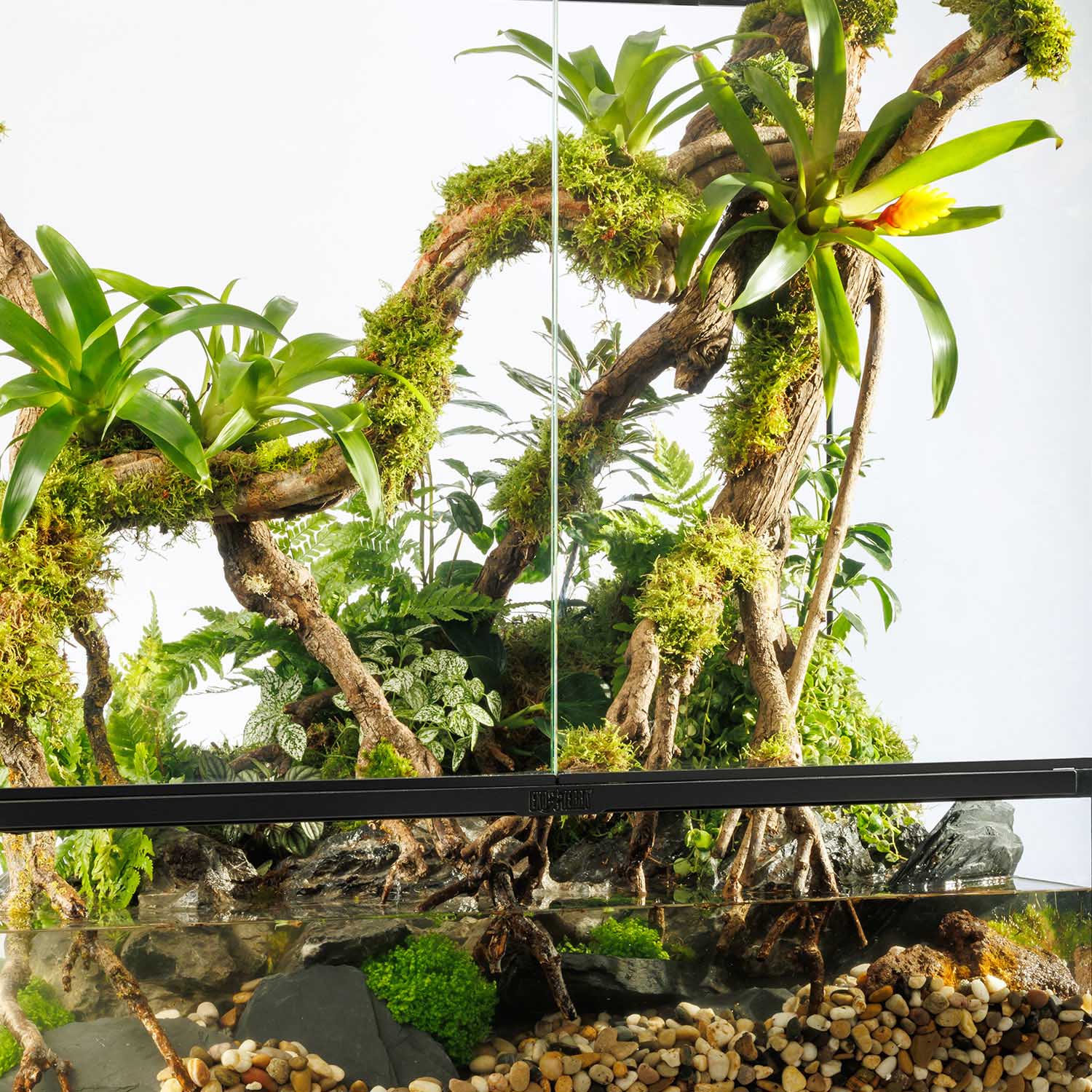 The Terrarium