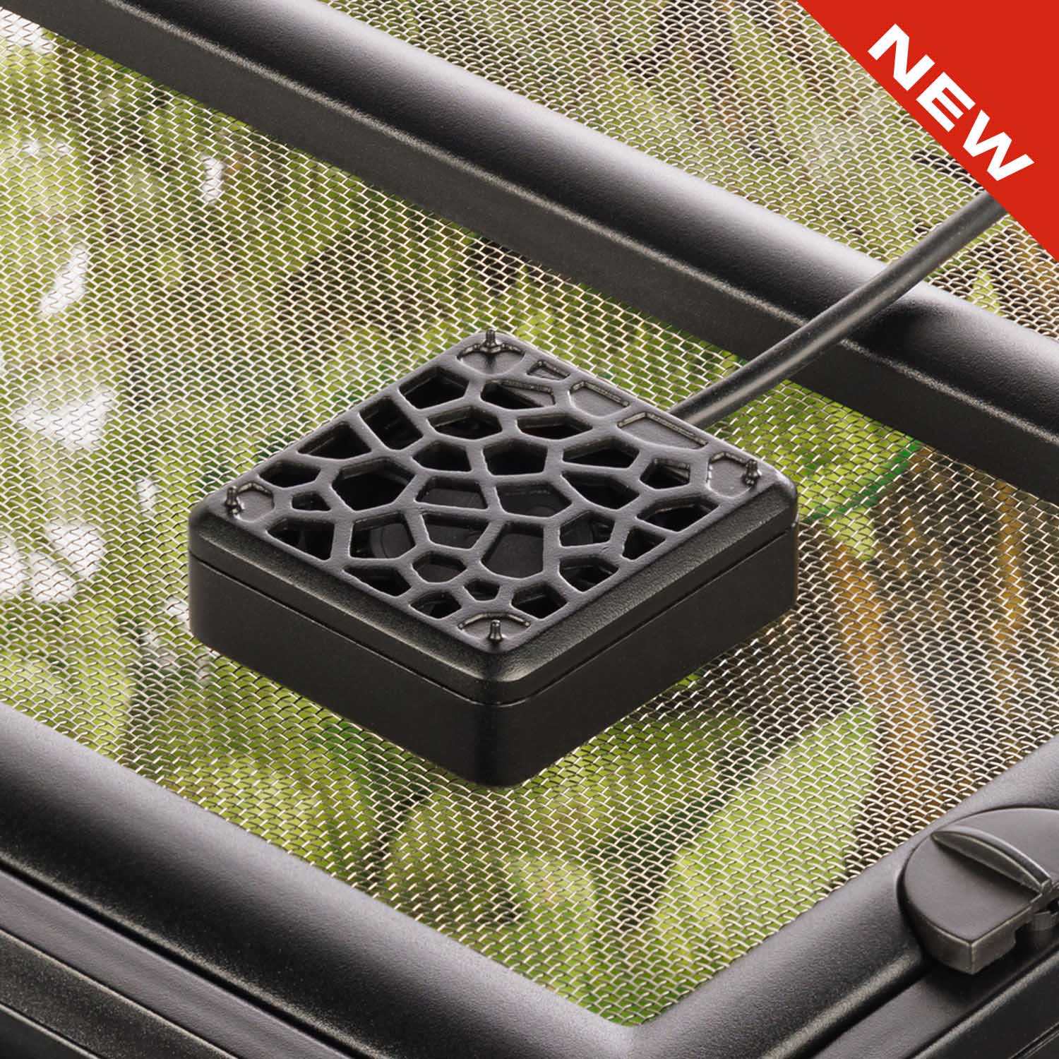 Mini Fan
