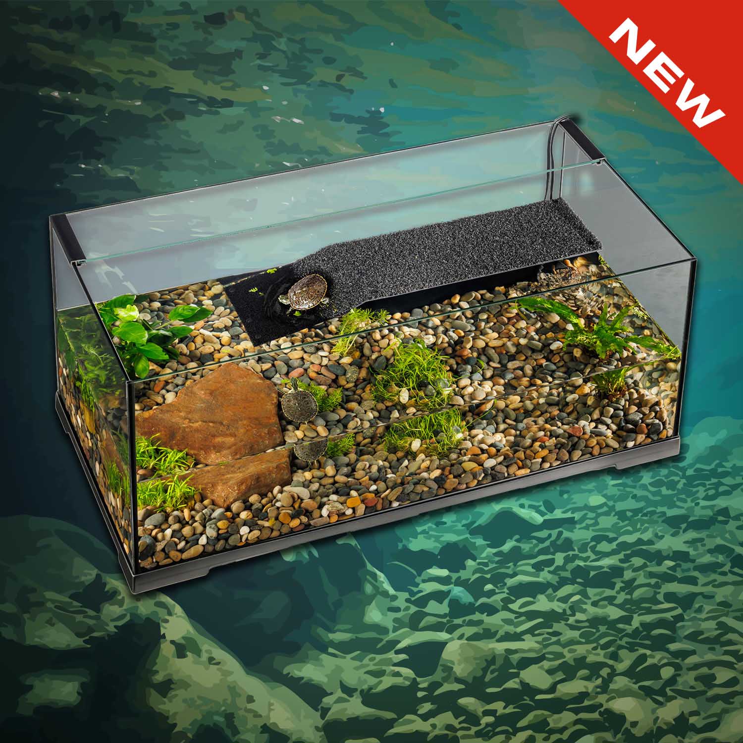 Turtle Haven