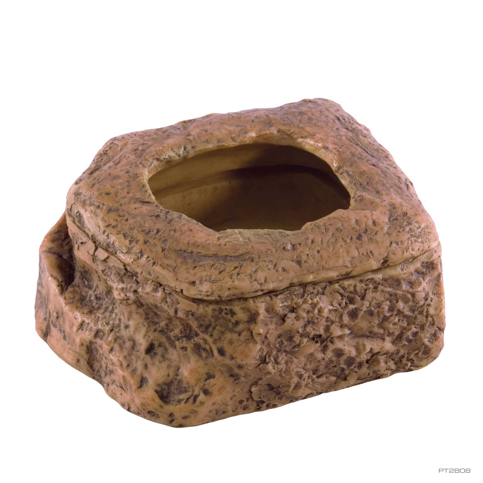 Buffalo Worm Dish