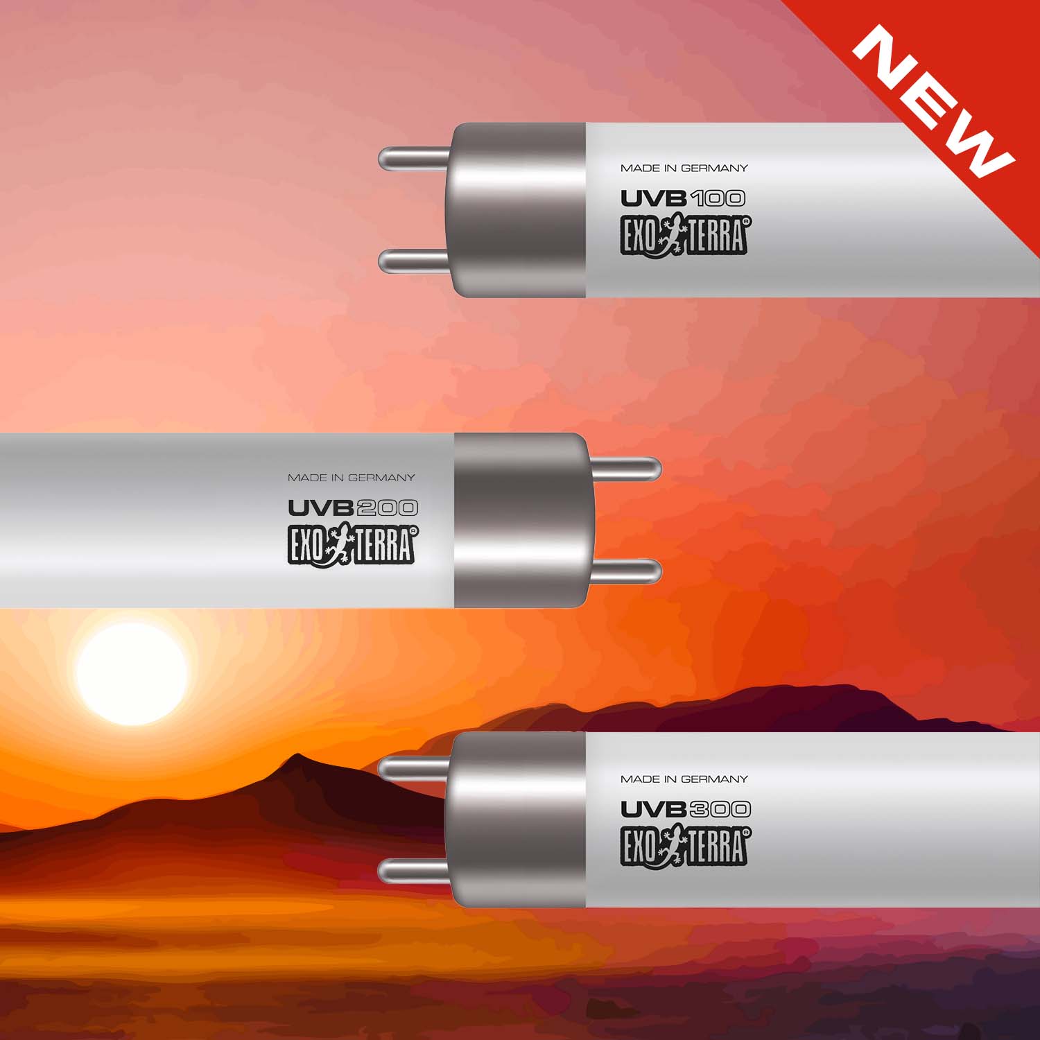 T5 Bulbs
