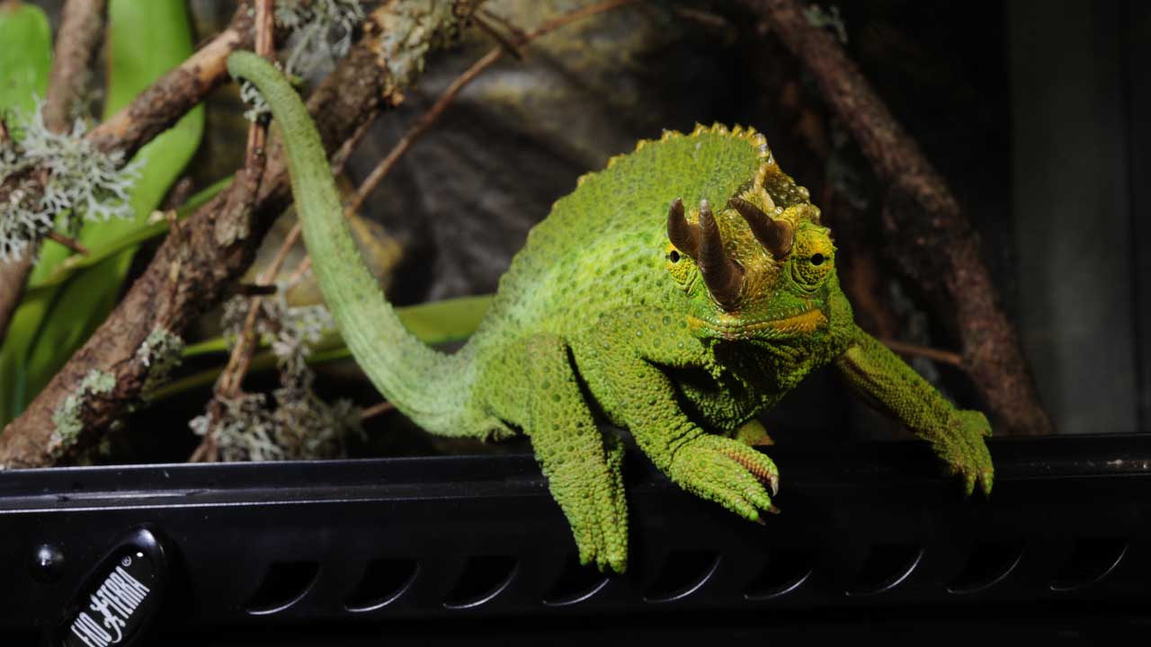 Benefit 2 Image