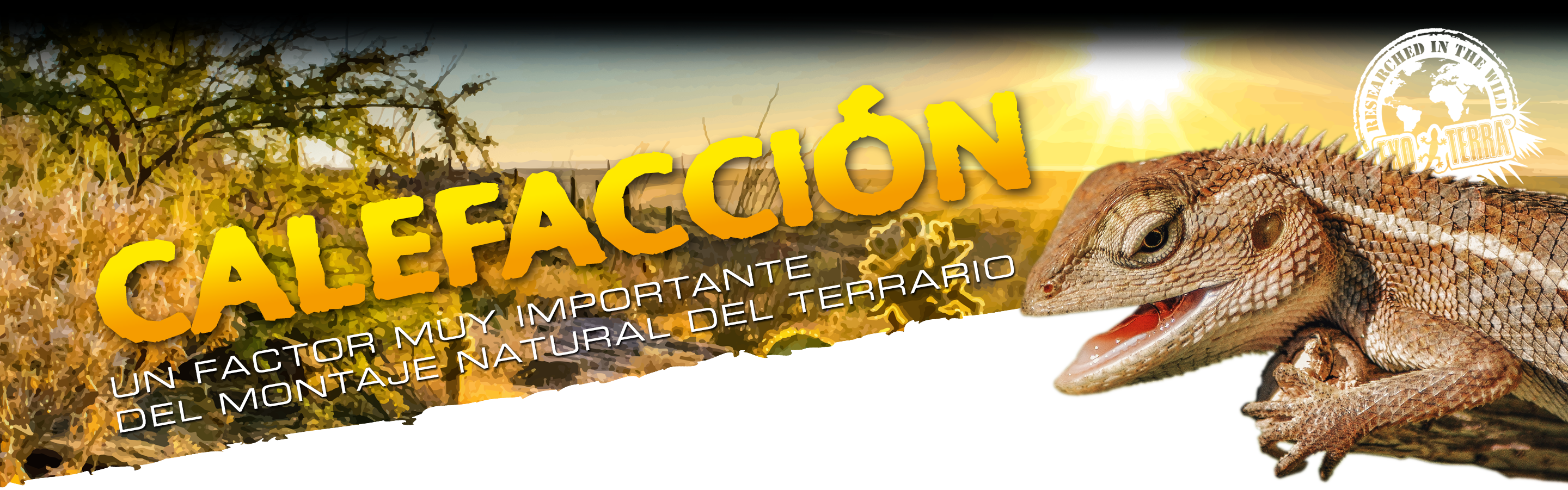 Calefacci&oacute;n
