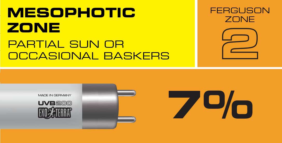 Nueva iluminaci&oacute;n UVB VHO T5